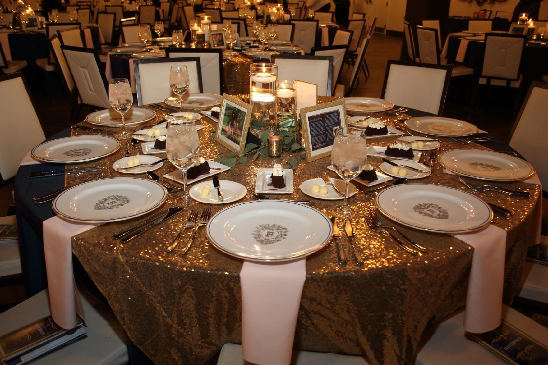 111519AlmostHomeGala_03.JPG